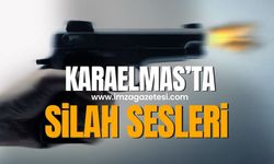Zonguldak'ta Karaelmas Mahallesinde Silah Sesleri Panik Oluşturdu: Güvenlik Güçleri Olayı Araştırıyor