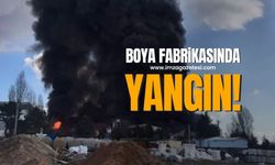 Yangın Faciası Gebze'yi Sardı: Kimya Fabrikasında Alev Topları Yükseliyor!