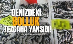 Denizdeki bolluk Zonguldak'ta tezgahlara yansıdı!