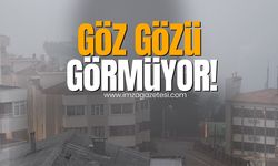 Zonguldak'ta beyaz örtü! Göz gözü görmüyor