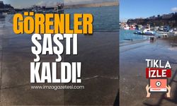 Kozlu'da görenler şaştı kaldı! İklim krizi Zonguldak'ı vurdu!