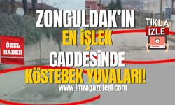 Zonguldak'ın en işlek caddesinde "Köstebek" yuvaları...