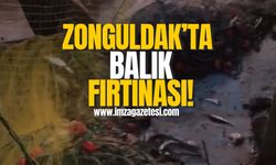 Zonguldak Denizleri Coşturuyor: Balık Piyasasında Fırtına Başladı!