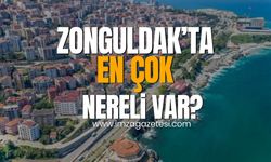 Zonguldak'ta en çok nereli var?