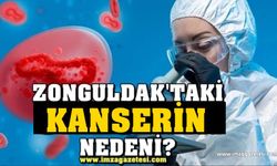 Zonguldak'ta kanser vakalarının artış nedeni ortaya çıktı! Türkiye genelinde en çok Zonguldak'ta...