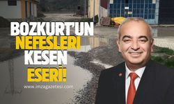 Devrek Belediye Başkanı Çetin Bozkurt'un nefesleri kesen eseri!