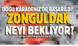 Doğu Karadeniz'de başarıldı! Binlerce kişi istihdam edilecek! Girişimde bulunan Zonguldak neyi bekliyor?