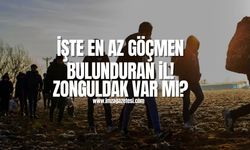 İşte en az göçmen bulunduran il! Zonguldak bu kategoride var mı?