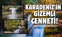 Karadeniz'in Gizemli Cenneti Harmankaya Şelaleleri...