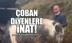 "Çobanlık yapalım dedik, çoban diyenlere inat"