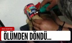 Kedinin kafası öyle bir yere sıkıştı ki, ölümden döndü...