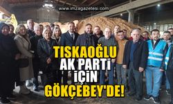 Nejdet Tıskaoğlu, AK Parti ile Gökçebey'de ziyaret gerçekleştirdi