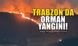 Trabzon'da orman yangını!