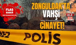 Zonguldak'ta kamp alanında vahşi olay!