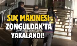 Suç makinesi Zonguldak’ta yakalandı!