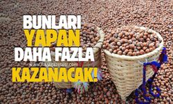 Zonguldak, Bartın, Kastamonu, Trabzon, Ordu, Giresun'daki fındık üreticisi bunları yaparsa daha çok kazanacak!