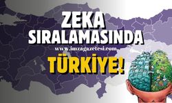 İşte Türkiye'nin IQ seviyesi! Zonguldak, Bartın, Karabük kaçıncı sırada?