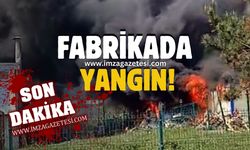 Fabrika Bahçesinde Yangın Paniği: Konteyner Alev Alev!