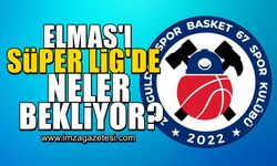 ING Kadınlar Basketbol Süper Ligi'ne yükselen Zonguldak Spor Basket 67'yi neler bekliyor?
