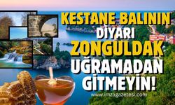 Kestane balının diyarı Zonguldak'ın gezilip, görülmeye değer yerleri... Buralara uğramadan gitmeyin!