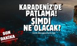 Batı ve Orta Karadeniz'de plankton patlaması! Deniz turkuaza döndü, şimdi ne olacak?