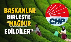Zonguldak, Trabzon, Rize, Artvin, Giresun, Düzce dahil 20 CHP il başkanından çay üreticisine destek ortak açıklama!