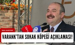 Mustafa Varank’tan sokak köpeği açıklaması!