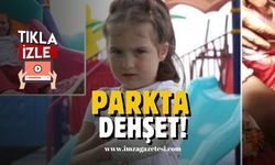 Parkta dehşet! Korku dolu anlar yaşandı...