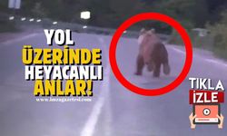 Bartın'da yol üzerinde heyecanlı anlar!