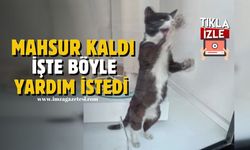 Mahsur kaldı, yardım istedi! İşte o ilginç anlar