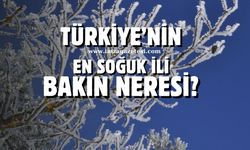 Türkiye'nin en soğuk ili olarak kayıtlara geçti! İşte o il!