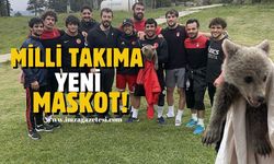 Milli takımın yeni maskotu yavru ayı!