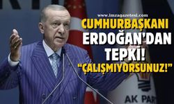 Cumhurbaşkanı Erdoğan'dan sert tepki! "Çalışmıyorsunuz, davayı içselleştirerek çalışın!"
