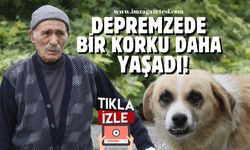 80 Yaşındaki Depremizede Başıboş Köpeklerin Saldırısına Uğradı!