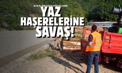 Belediyeden yaz haşerelerine karşı savaş!