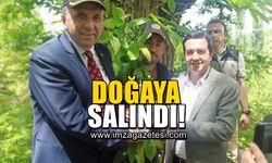 Devrek ilçesi Alpaslan Köyünde doğaya salındı!