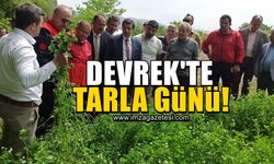 Devrek'te “Tarla Günü” etkinliği düzenlendi