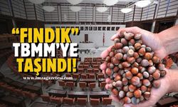 Zonguldak, Düzce, Giresun, Ordu, Samsun, Trabzon'un gelir kaynağı fındık TBMM'de!