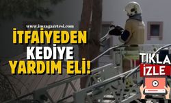 İtfaiye kedinin yardımına yetişti!