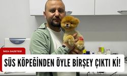 Süs köpeğinden çıkarılan şey şok etti!