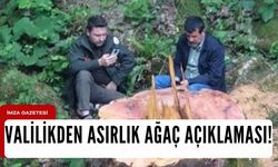 Asırlık ağaçla ilgili açıklama!