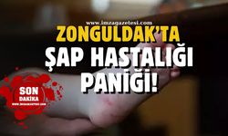 Zonguldak'ta şap hastalığı paniği!