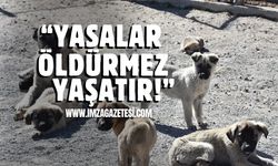 Alkan "Yasalar öldürmez, yaşatır, yaşatacağız!"