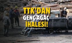 TTK’dan genç ağaç ihalesi!