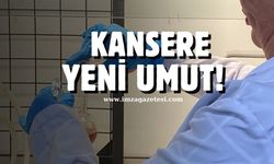 Zonguldak BEÜ'de kansere ilaç... Patent bile alındı... Kansere yeni umut...