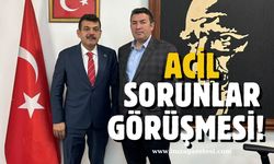 AK Parti Milletvekili Muammer Avcı, Devrek Belediye Başkanı Özcan Ulupınar görüştü!
