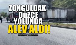 Zonguldak-Düzce karayolunda tır böyle yandı!