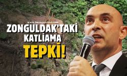 CHP Zonguldak İl Başkanı Devrim Dural'dan 1183 yıllık ağacın katliamına tepki!