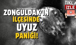 Zonguldak'ın ilçesinde uyuz hastalığı salgını endişesi!