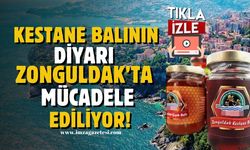 Kestane balının diyarı Zonguldak'ta mücadele ediliyor!